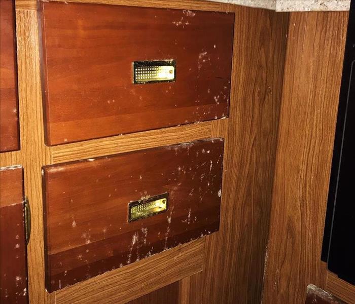 Mold on cabinet