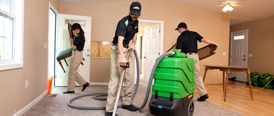 Stevensville, MD cleaning services